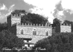 Il Castello di Partina