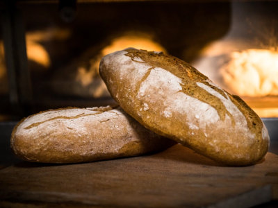 Pane di Grano Verna Biologico a Km0